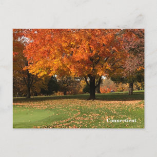 vykort för "Golfkurs in fall"