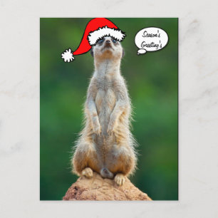Vykort för gopher för hund för julSanta prärie