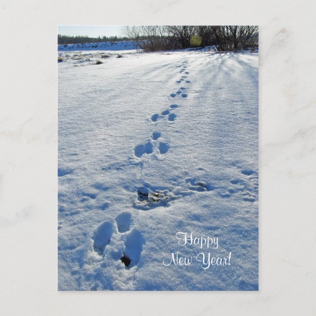 vykort för gott nytt år (Framsida)