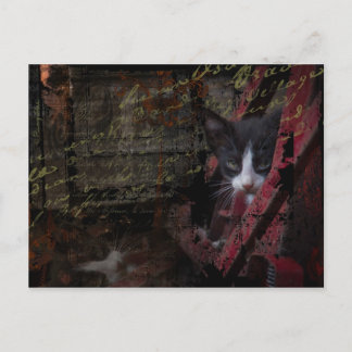 vykort för gränd 007