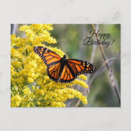 vykort för grattis på födelsedagen monarch Butterf