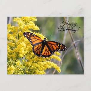 vykort för grattis på födelsedagen monarch Butterf
