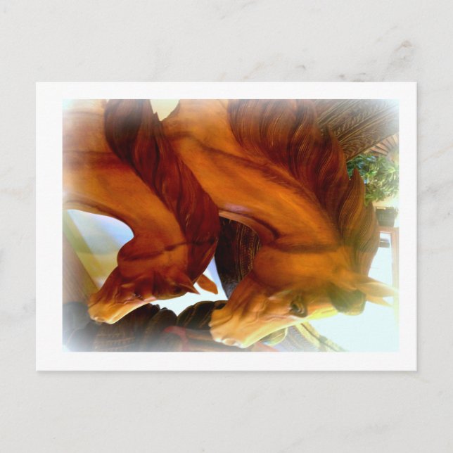 vykort för häst och ponny (Framsida)