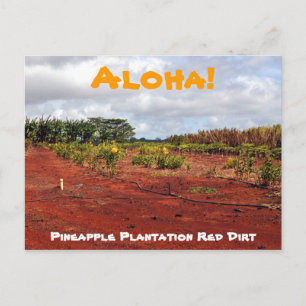 vykort för hawaiiska ananas-plantation