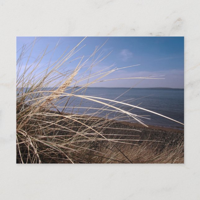 vykort för hösnuva (Framsida)