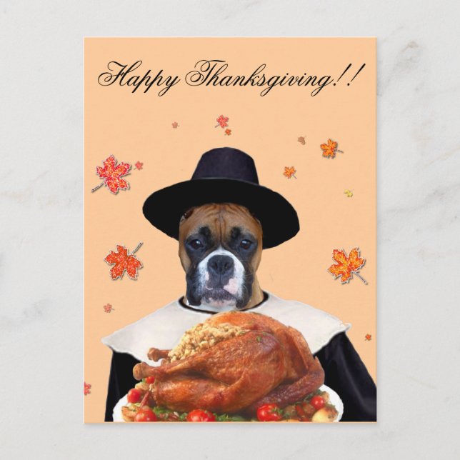 vykort för hund av thanksgiving boxer (Framsida)