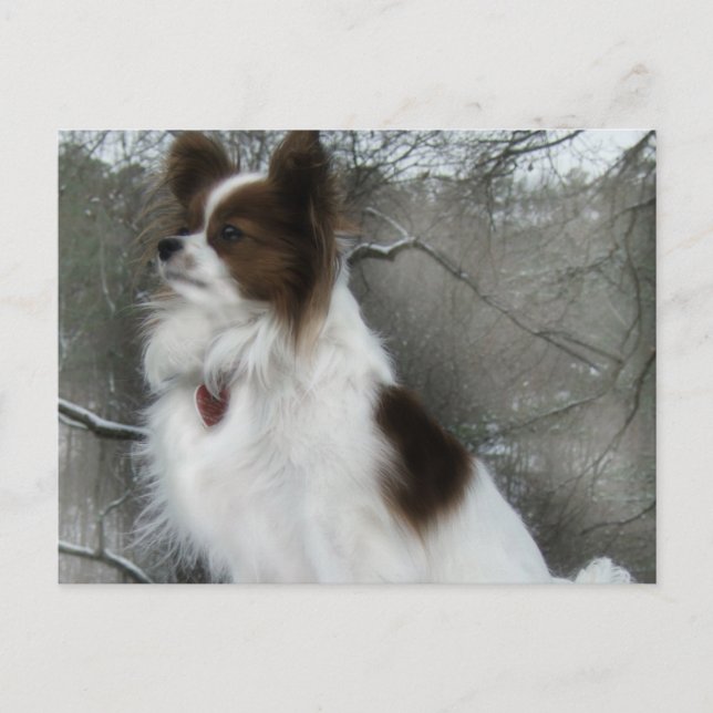 Vykort för hundkoja för Hershey kysshjälte (Framsida)