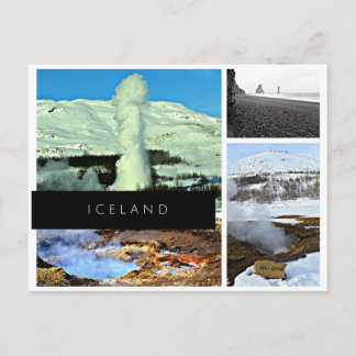 vykort för island - gässer, hett vår, svart sand
