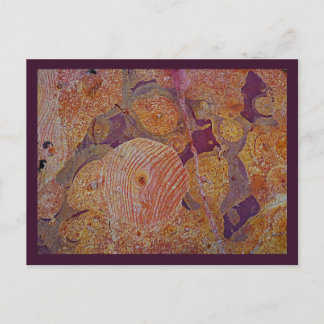 vykort för jorddesign