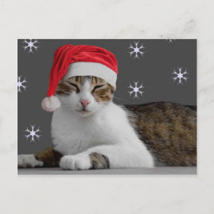 vykort för julklapp