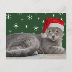 Vykort för julklapp