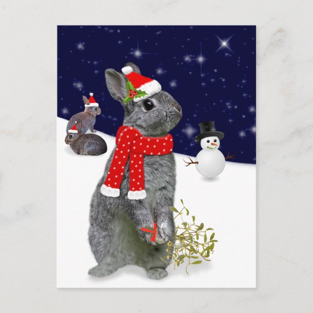 Vykort för julpaket (Framsida)