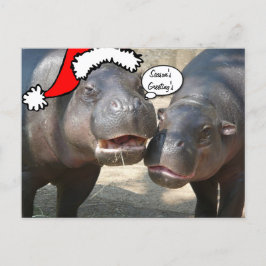 Vykort för julSanta flodhäst
