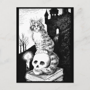 vykort för kattsvart och vit Maine Coon Halloween