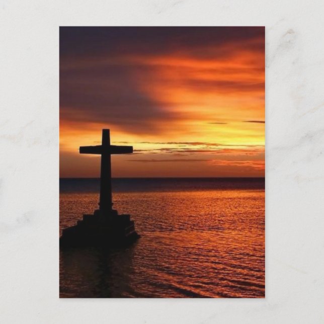 vykort för kor (Framsida)