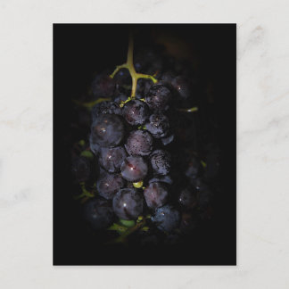 vykort för lila grafik