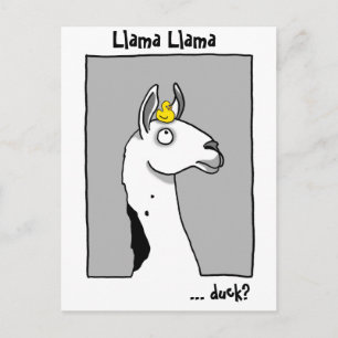 Vykort för LlamaLlamaanka