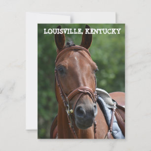 vykort för LOUISVILLE KENTUCKY TÄVLING HORSE