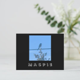 vykort för Magpie-natur