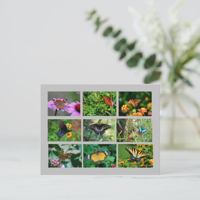 vykort för makro Butterflies (Stående Fram)