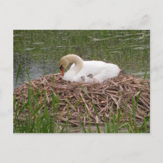 vykort för mamma och små mynt (2)