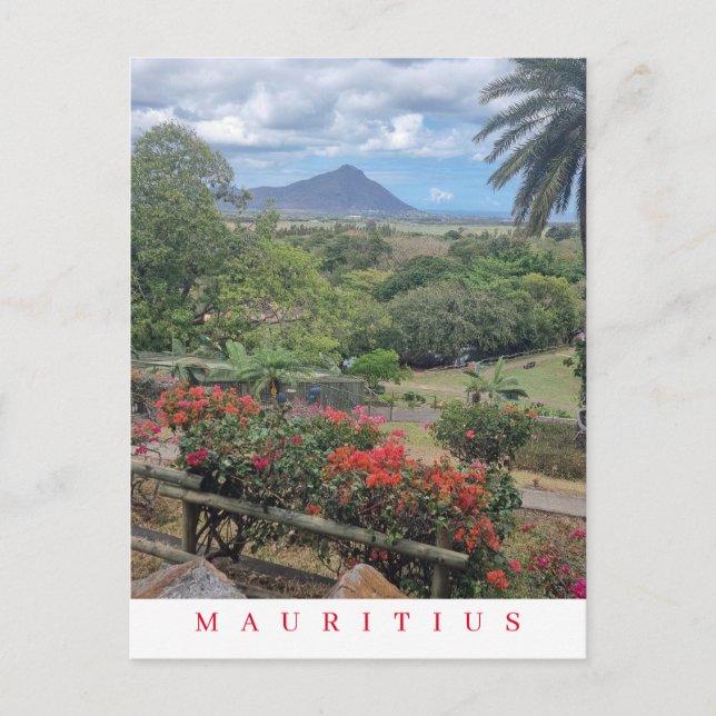 vykort för Mauritius panoramavi (Framsida)