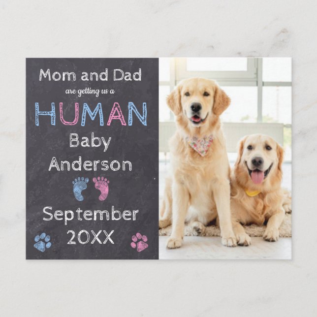 vykort för meddelande om hund Gravid (Framsida)