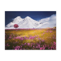 vykort för mjuka Alpernor