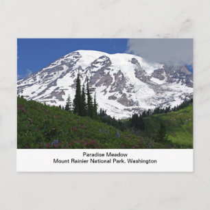 Vykort för Mount Rainier paradisäng