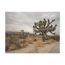 Vykort för nationalpark för Joshua träd