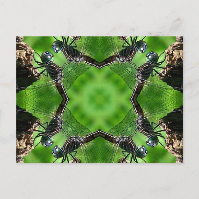 Vykort för natur för sländaKaleidoscopekonst (Framsida)