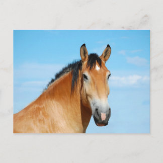 vykort för överhuvudskott