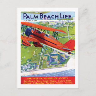Vykort för Palm Beach liv #1