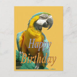 vykort för Parrot Grattis på födelsedagen Anpassad