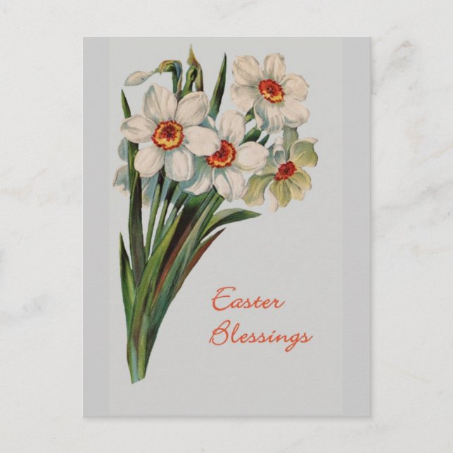 vykort för Påsk Blessings (Framsida)