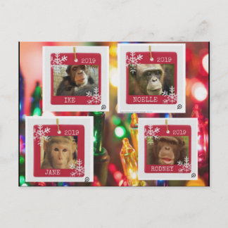 vykort för primär rädding