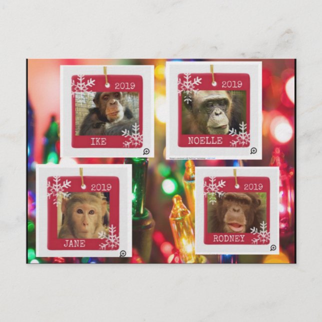 vykort för primär rädding (Framsida)