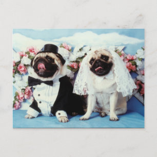 vykort för Pug Hundar Bröllop