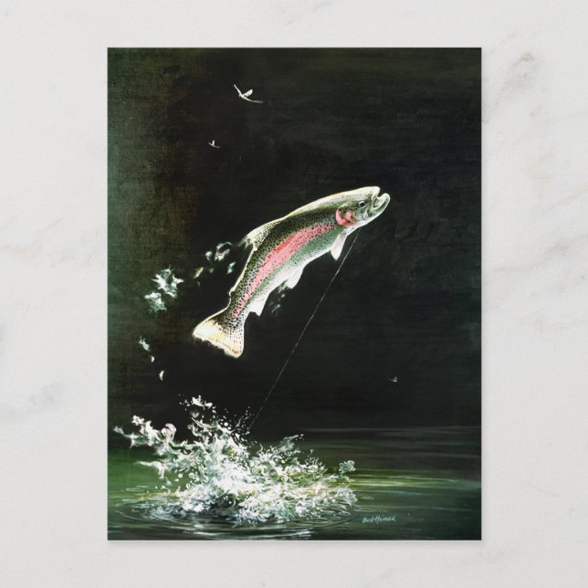 vykort för regnbåge (Framsida)