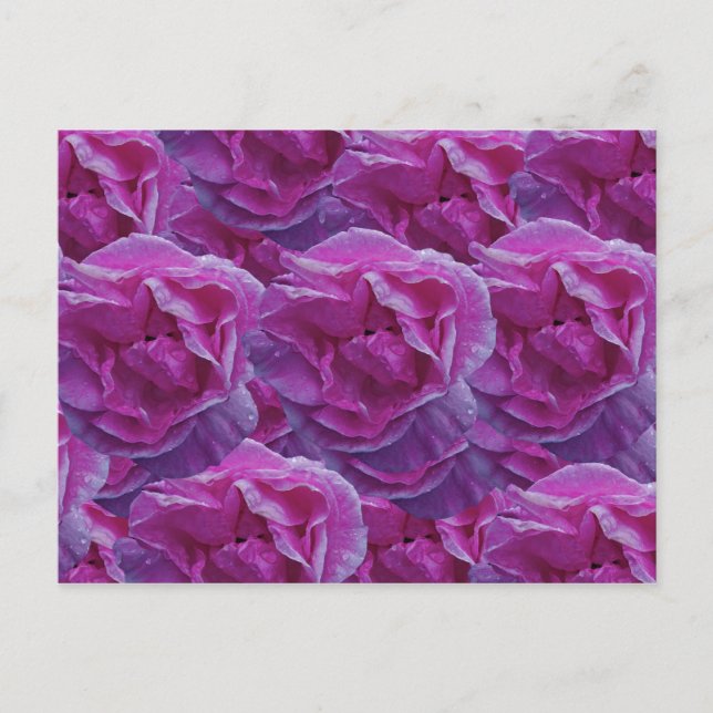 vykort för ro (Framsida)