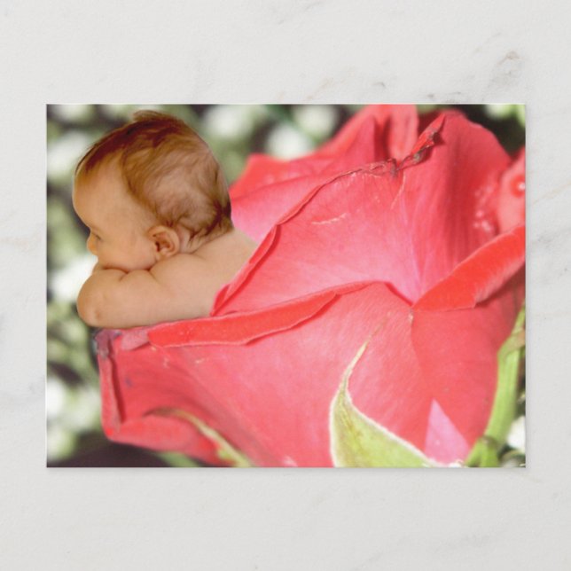 vykort för ro Flower Baby (Framsida)