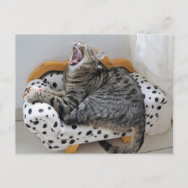 vykort för Roligt av Yawred Tired Kattunge Cute