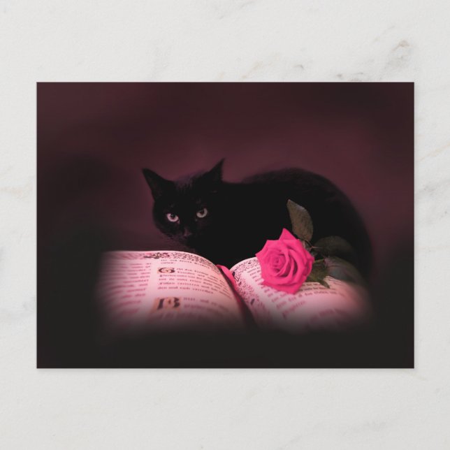 vykort för romantisk katt bok ro (Framsida)