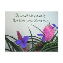 vykort för rosa Quill Plants