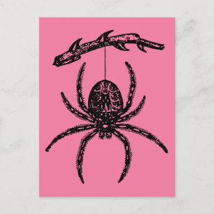 vykort för Rosa Spider