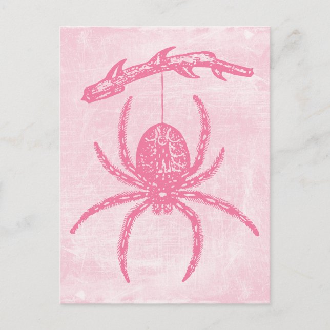 vykort för Rosa Spider (Framsida)
