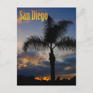 Vykort för San Diego palmträdsolnedgång