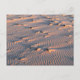 vykort för sandkranar