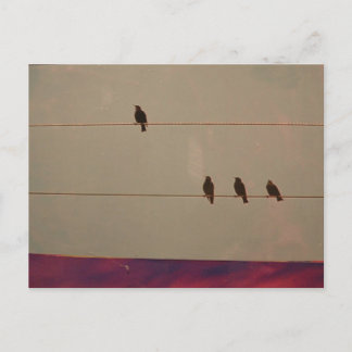 Vykort för servicenivåserie