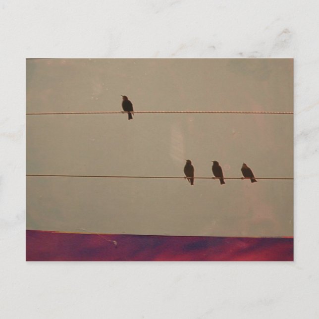 Vykort för servicenivåserie (Framsida)